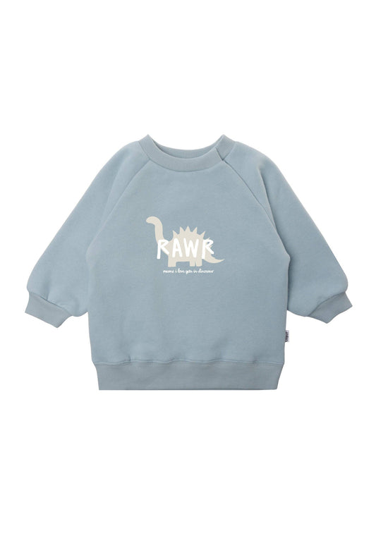 Sweatshirt in hellblau "Dinosaurier"