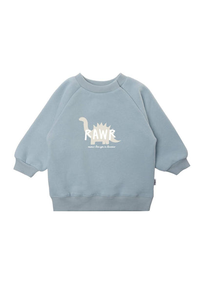 Gefährlich niedlich! Das hellblaue Langarm-Sweatshirt mit starkem Dino-Print wärmt zuverlässig an kühlen Tagen und macht kleine Urzeit-Fans glücklich.