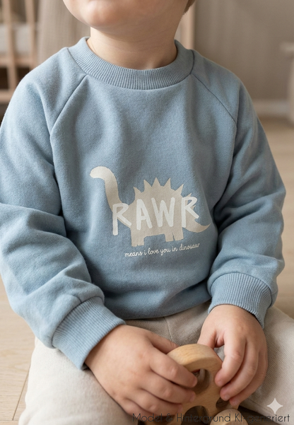 Gefährlich niedlich! Das hellblaue Langarm-Sweatshirt mit starkem Dino-Print wärmt zuverlässig an kühlen Tagen und macht kleine Urzeit-Fans glücklich.